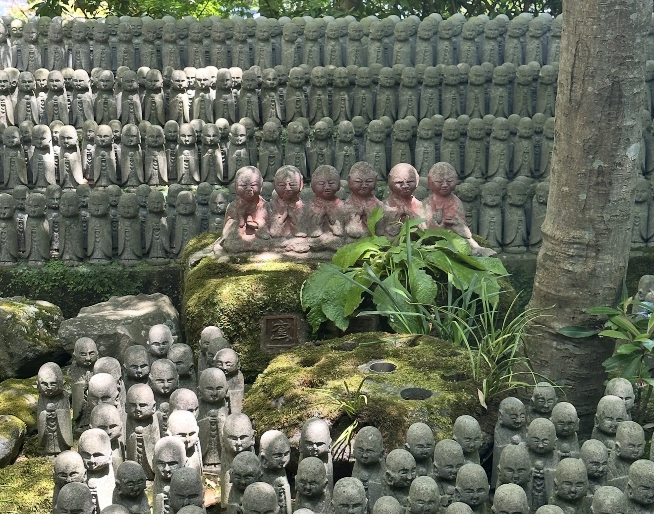 Kamakura tour 5