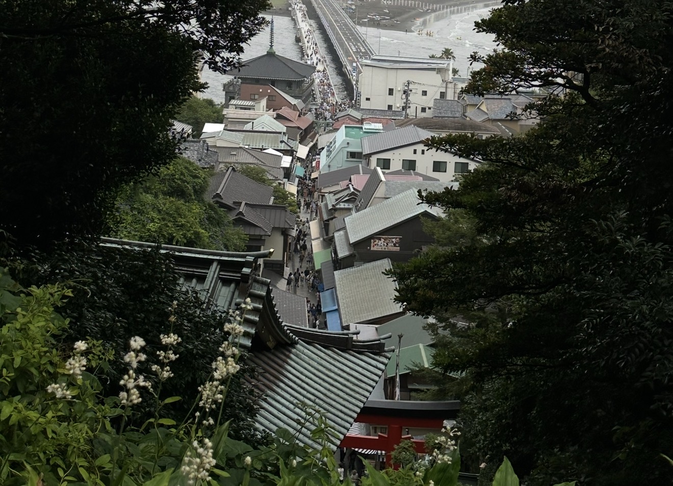 Enoshima tour 4