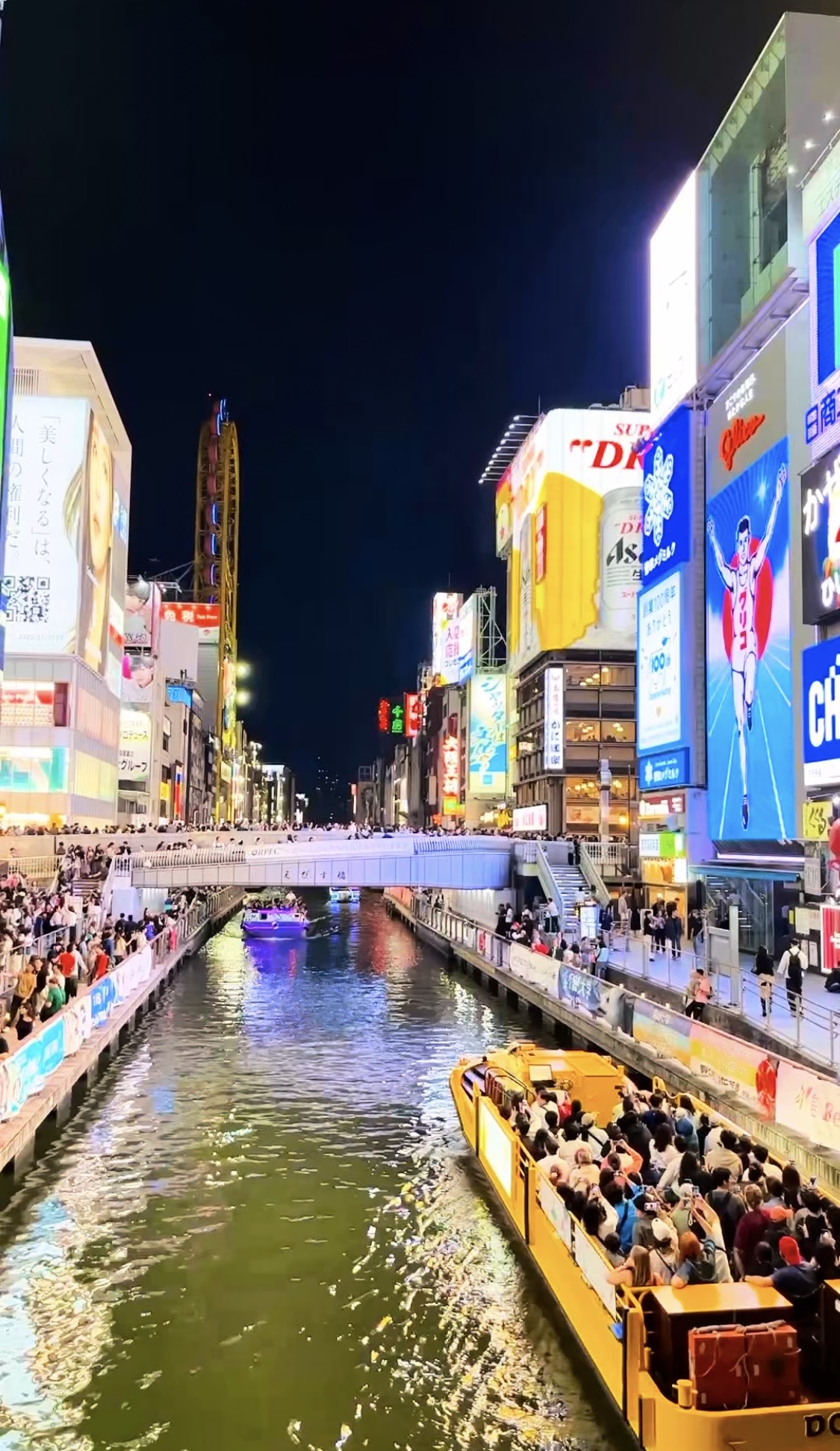 Osaka Castle, Dotonbori & Hidden Osaka – Private 3h Tour 3