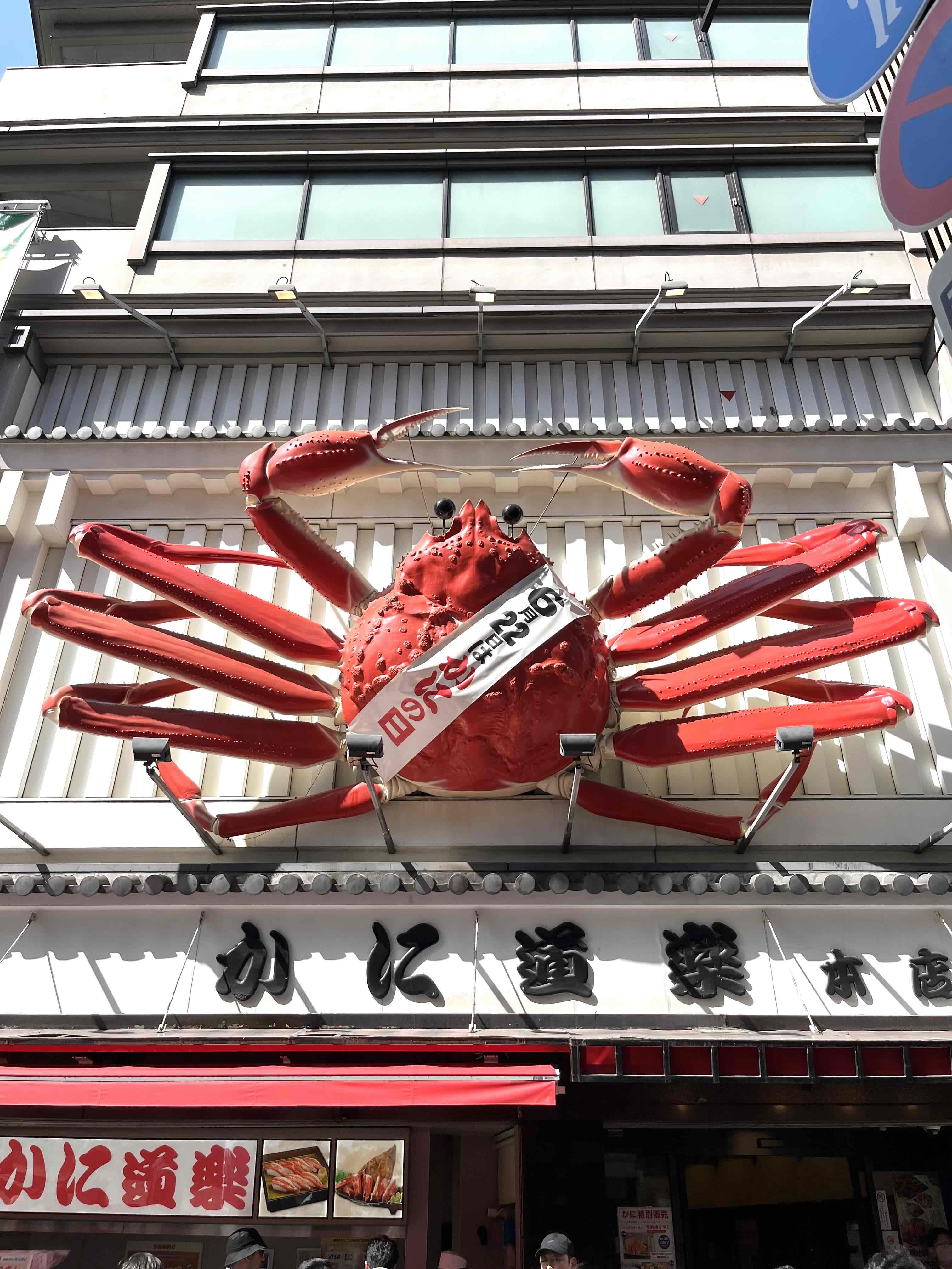 Osaka Castle, Dotonbori & Hidden Osaka – Private 3h Tour 4