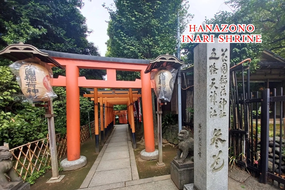 Ueno Temples & Ameyoko Market Walking Tour - Culture + Food + Shopping 3