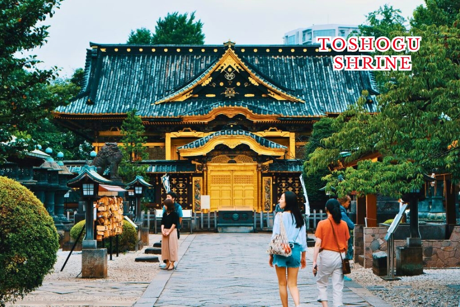Ueno Temples & Ameyoko Market Walking Tour - Culture + Food + Shopping 4