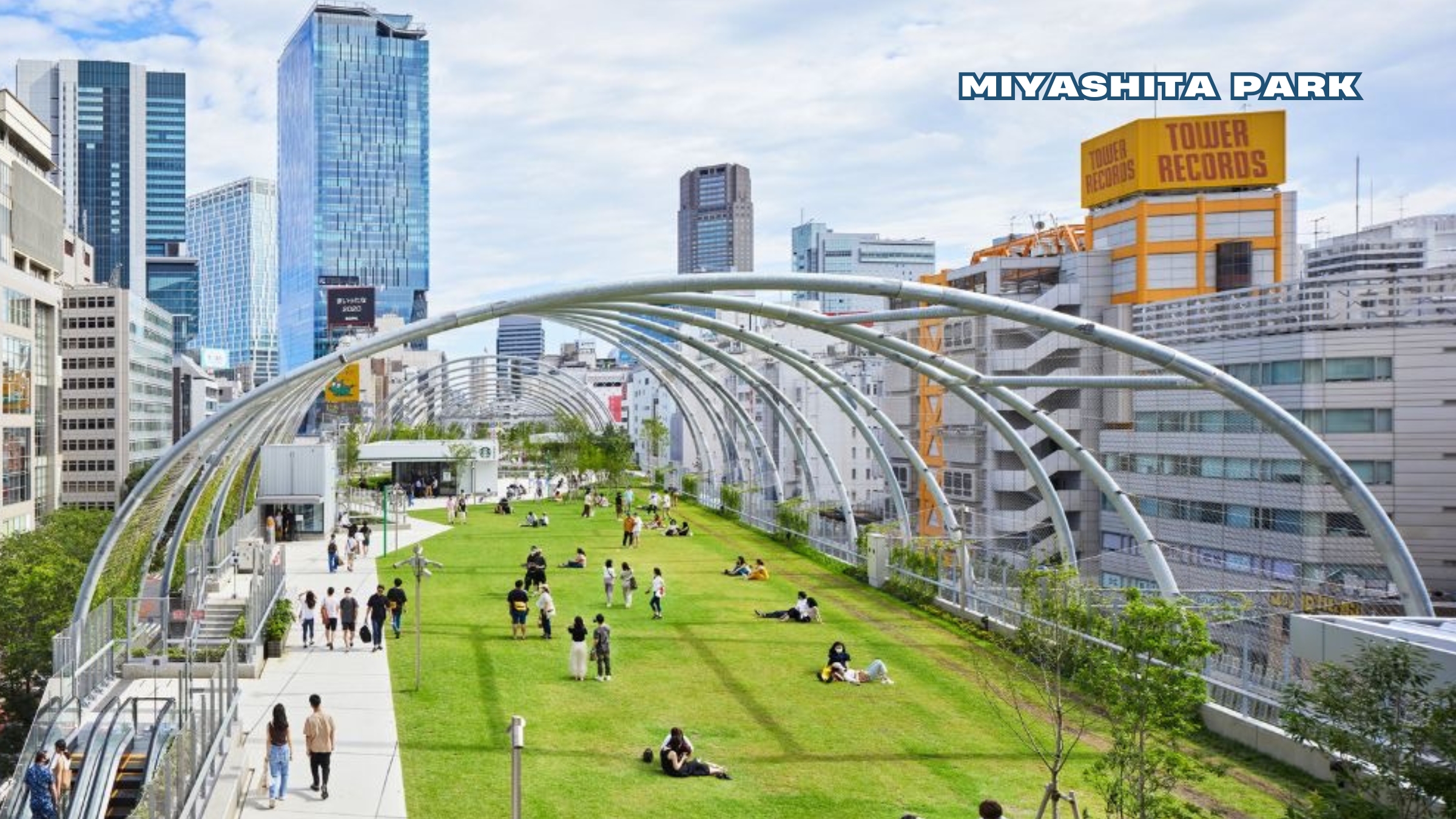 Shibuya & Harajuku Highlights Walking Tour - Discover the hidden gems 2