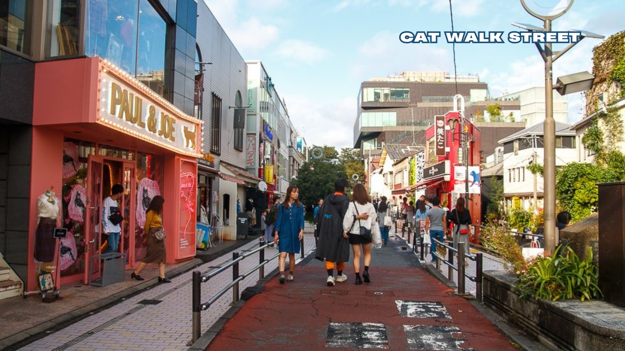 Shibuya & Harajuku Highlights Walking Tour - Discover the hidden gems 3
