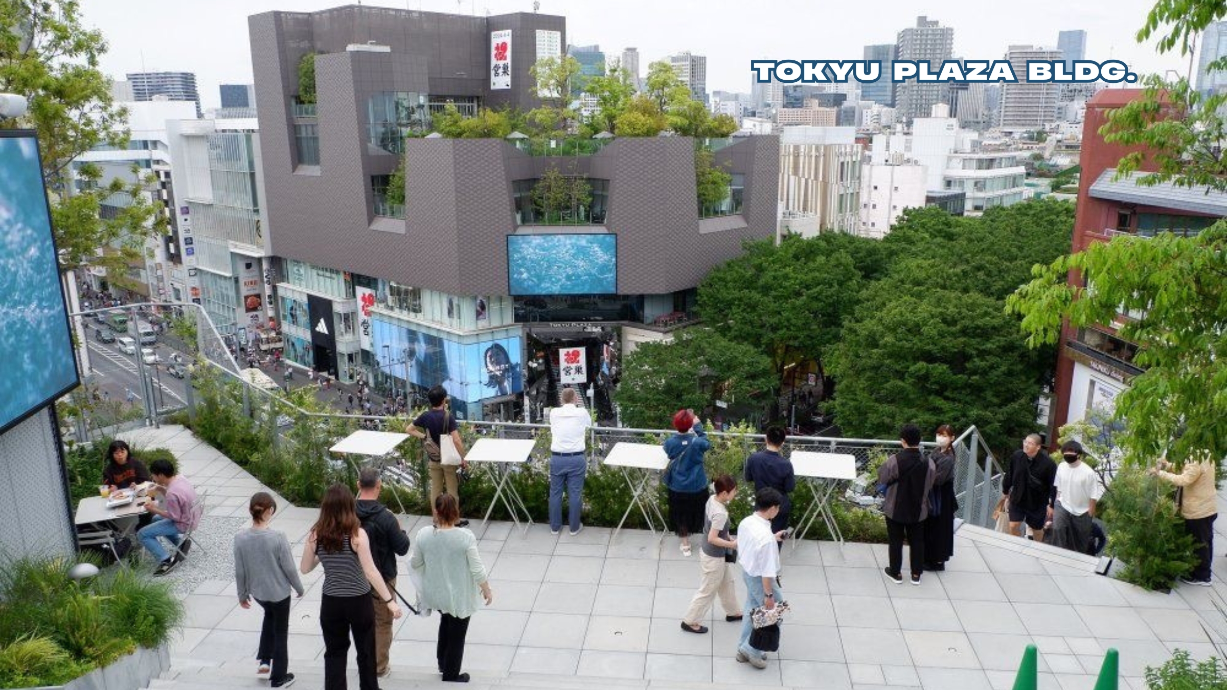 Shibuya & Harajuku Highlights Walking Tour - Discover the hidden gems 4