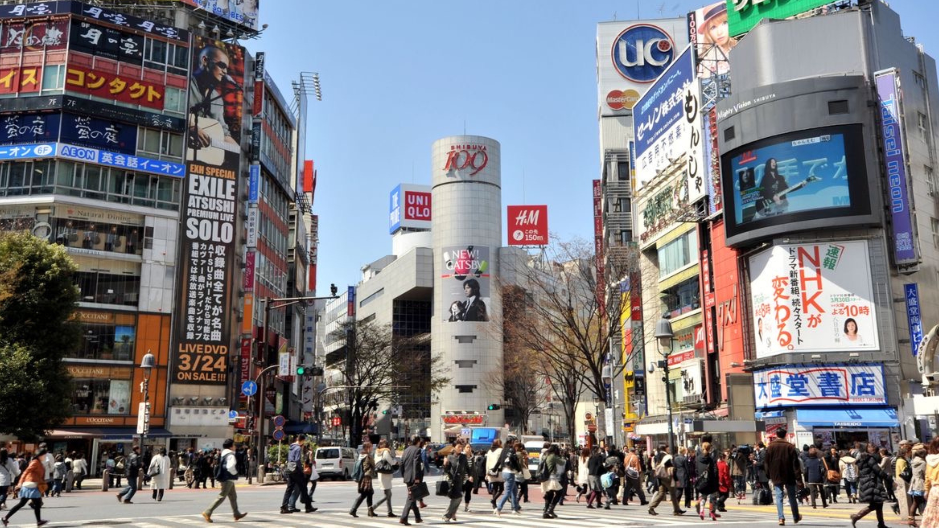 Tokyo City Highlights - Shibuya + Harajuku + Asakusa 3