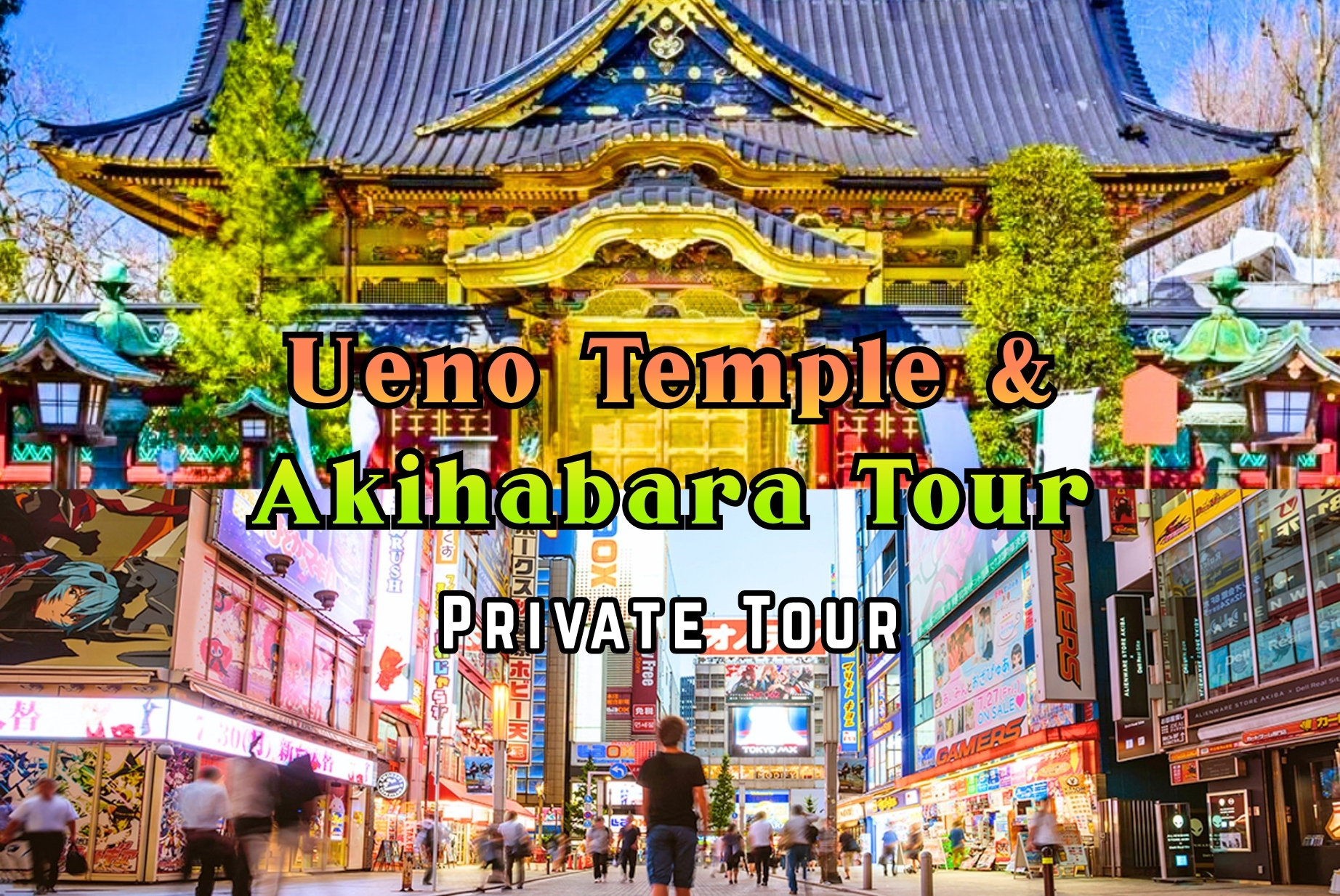 Ueno Temples & Akihabara Tour - Private Day Tour