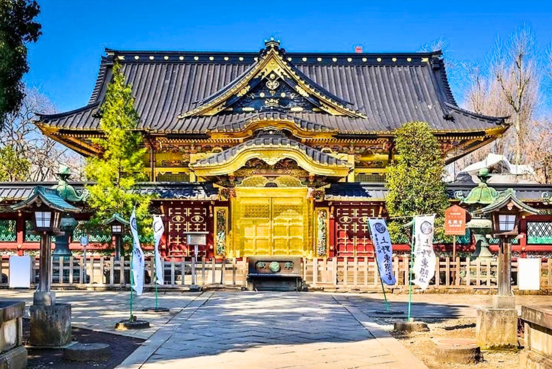 Ueno Temples & Akihabara Tour - Private Day Tour 2