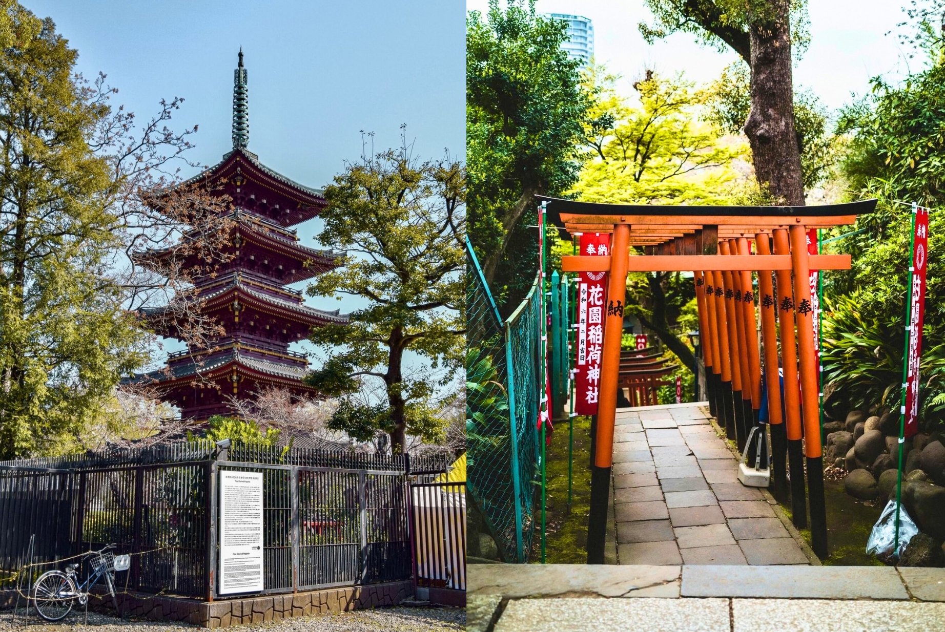 Ueno Temples & Akihabara Tour - Private Day Tour 3