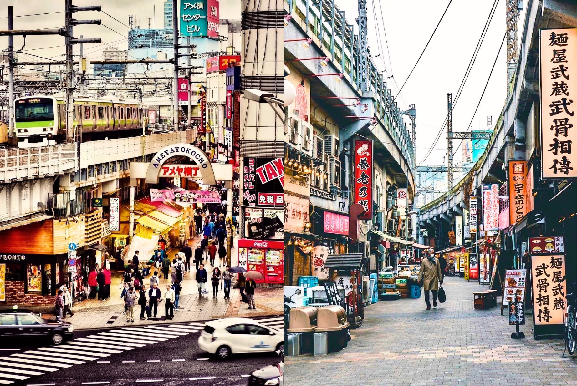Ueno Temples & Akihabara Tour - Private Day Tour 4