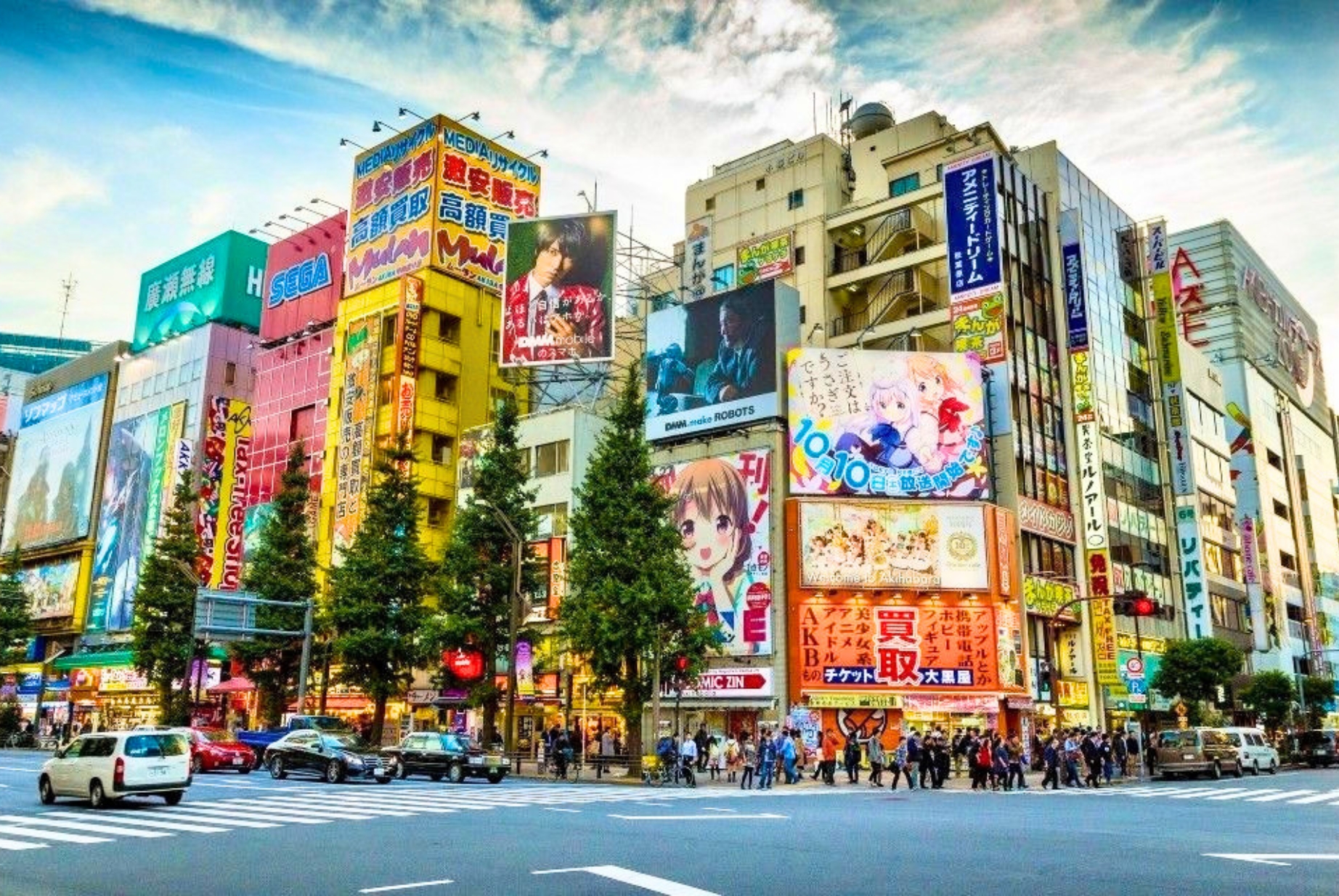 Ueno Temples & Akihabara Tour - Private Day Tour 5