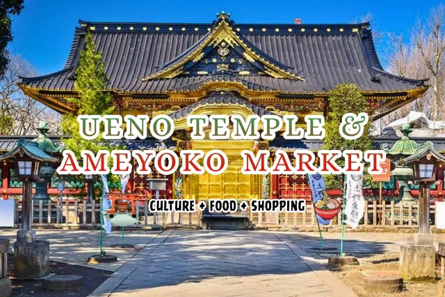 Ueno Temples & Ameyoko Market Walking Tour - Blend of Culture + Food + Shopping