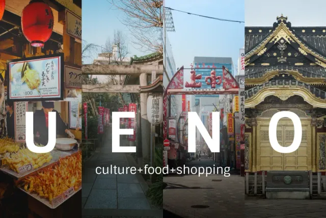 Ueno Temples & Akihabara Tour - Private Day Tour