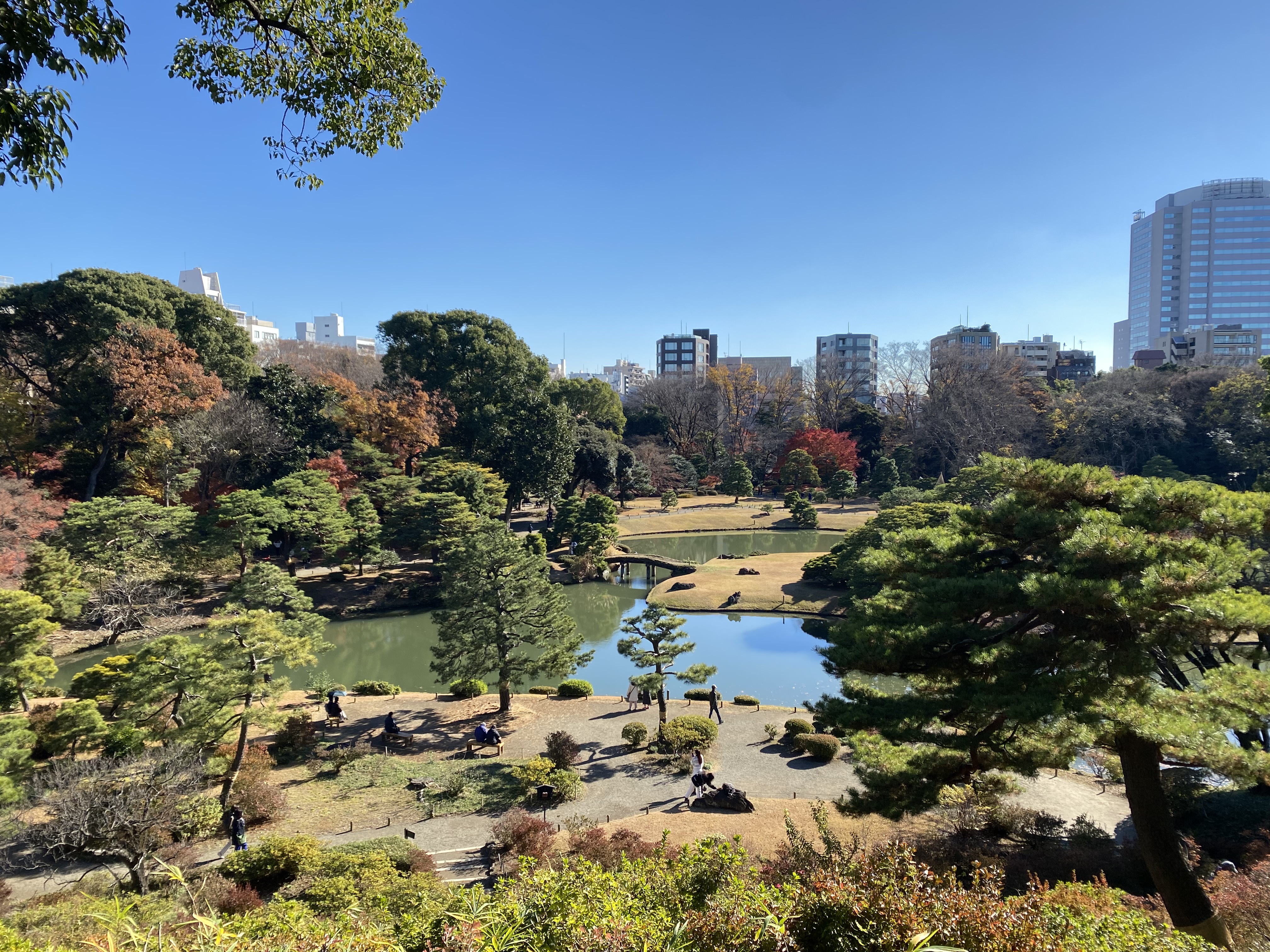 Hidden Tokyo: Gardens, Shrines&Local Street with a Tokyo Expert 1