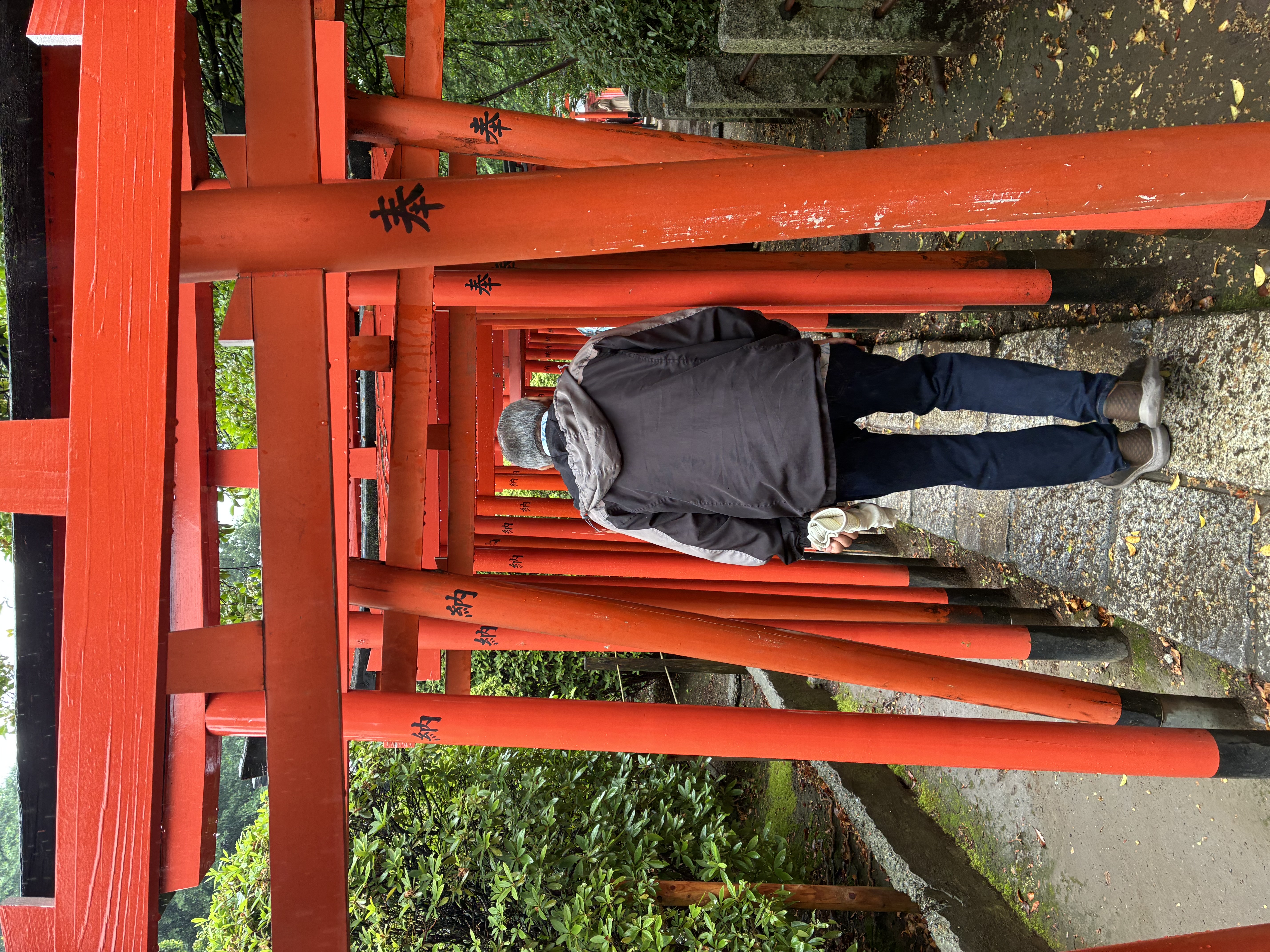 Hidden Tokyo: Gardens, Shrines&Local Street with a Tokyo Expert 3