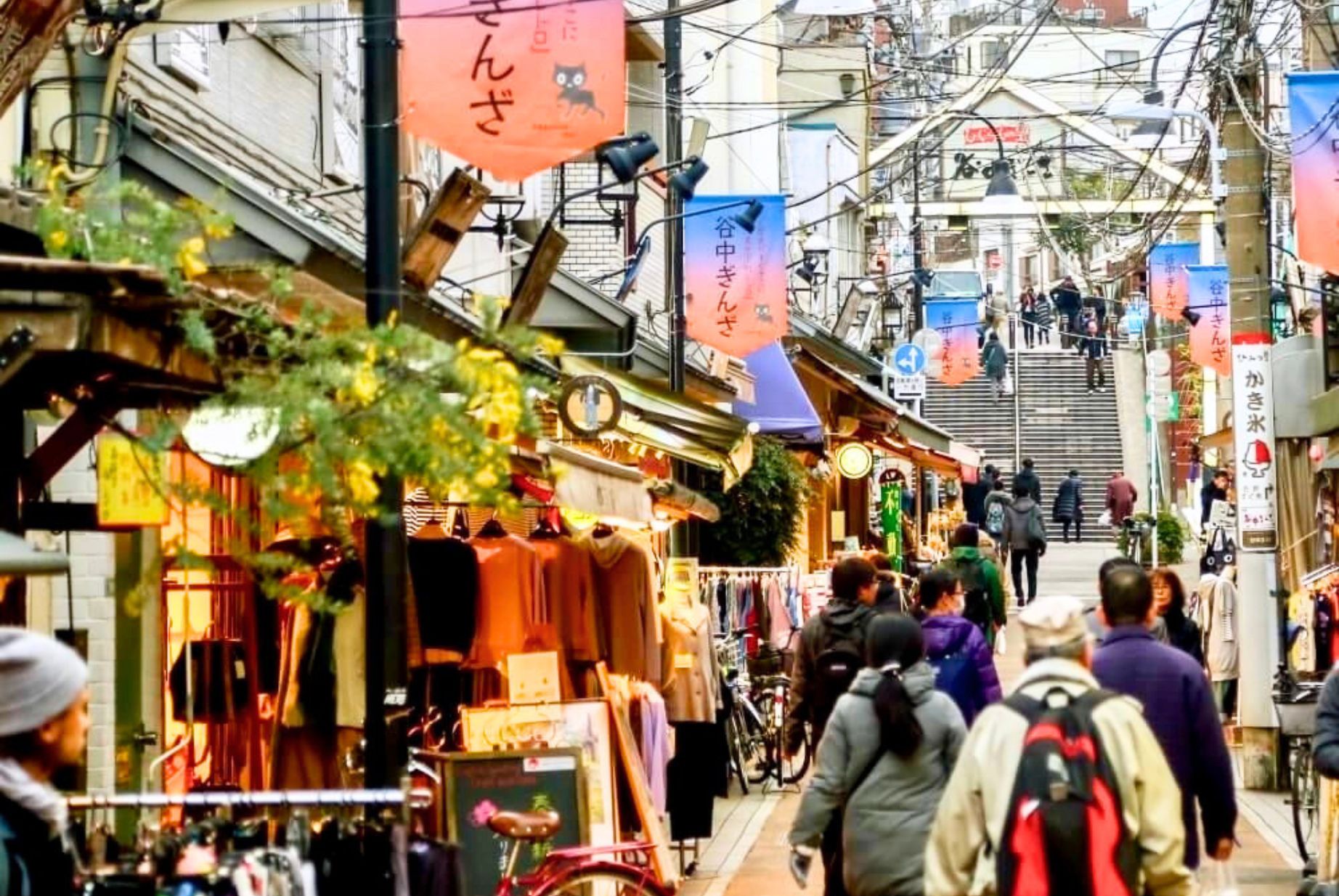 Hidden Tokyo: Gardens, Shrines&Local Street with a Tokyo Expert 4