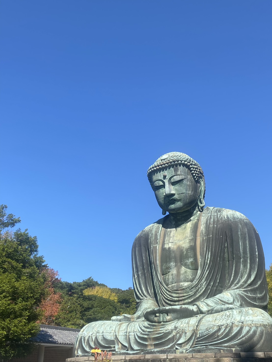 Discover the Best of Kamakura with a Local Guide