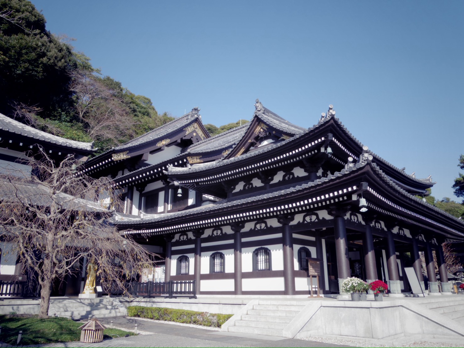 Discover the Best of Kamakura with a Local Guide 4