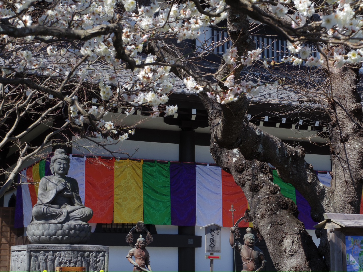 Discover the Best of Kamakura with a Local Guide 5