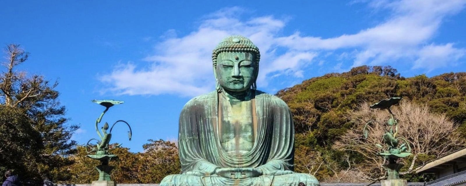 Discover the Best of Kamakura with a Local Guide