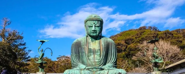 Discover the Best of Kamakura with a Local Guide