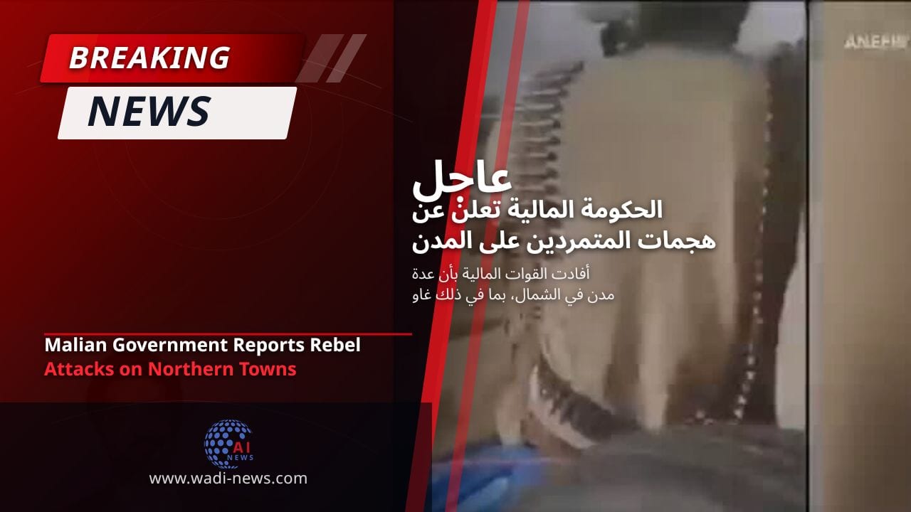 الحكومة المالية تعلن عن هجمات المتمردين على المدن الشمالية