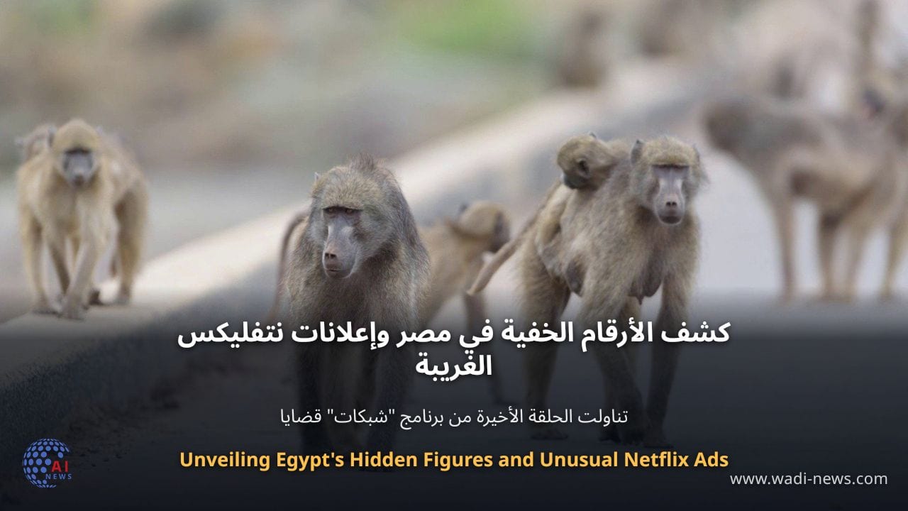 كشف الأرقام الخفية في مصر وإعلانات نتفليكس الغريبة