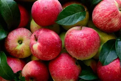 Un ensemble de pommes rouges fraîches aux teintes vives et aux reflets brillants, entassées les unes sur les autres