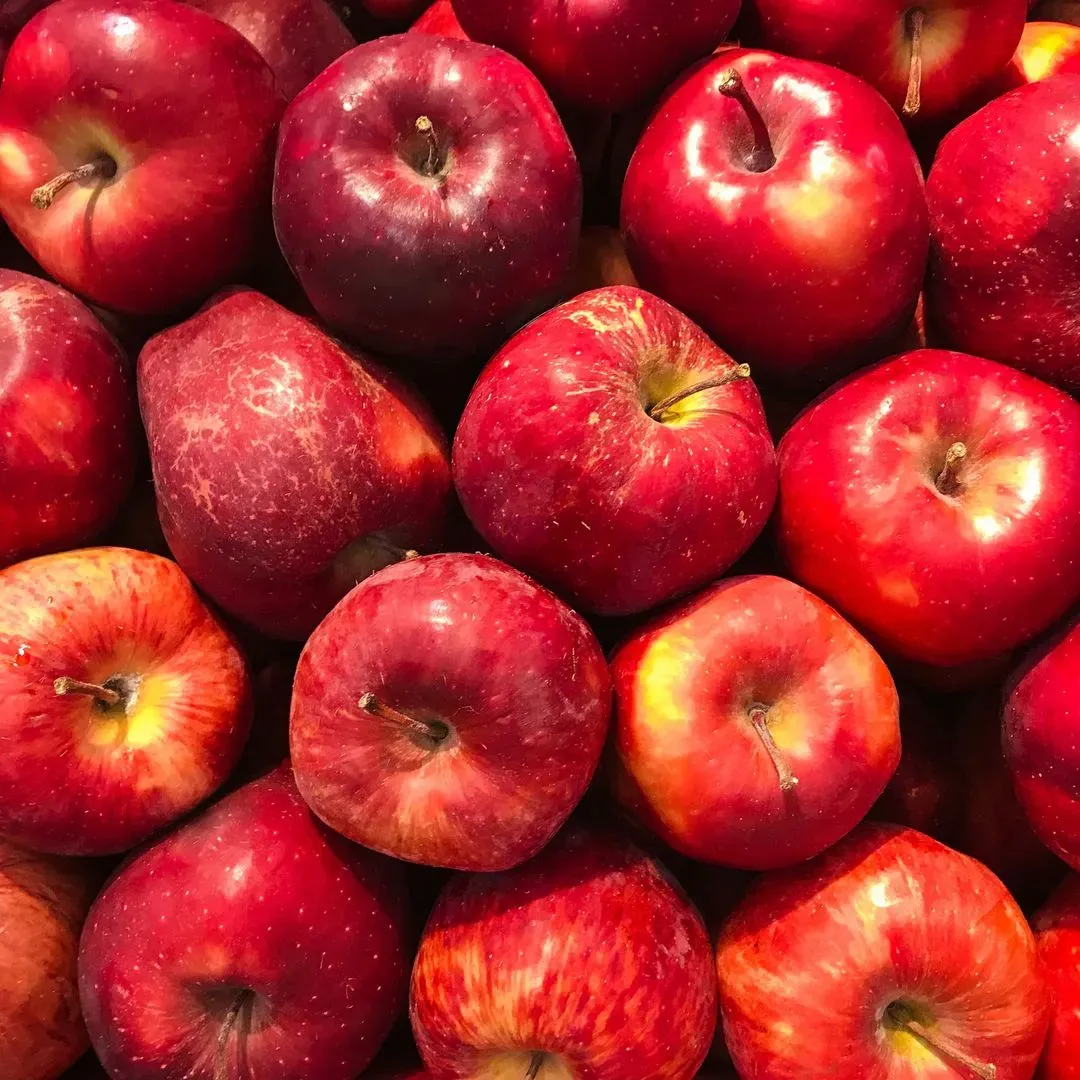 Un ensemble de pommes rouges fraîches aux teintes vives et aux reflets brillants, entassées les unes sur les autres