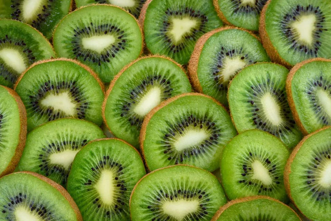 Tranches de kiwi frais disposées