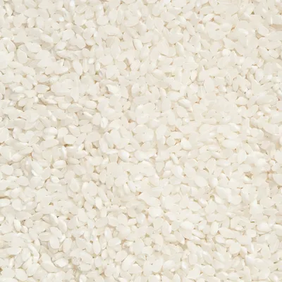 Quel riz choisir pour un riz au lait ? un zoom sur du riz rond