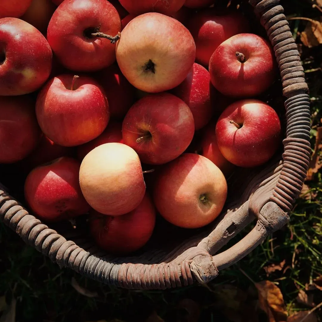 des pommes sur un plan de travail