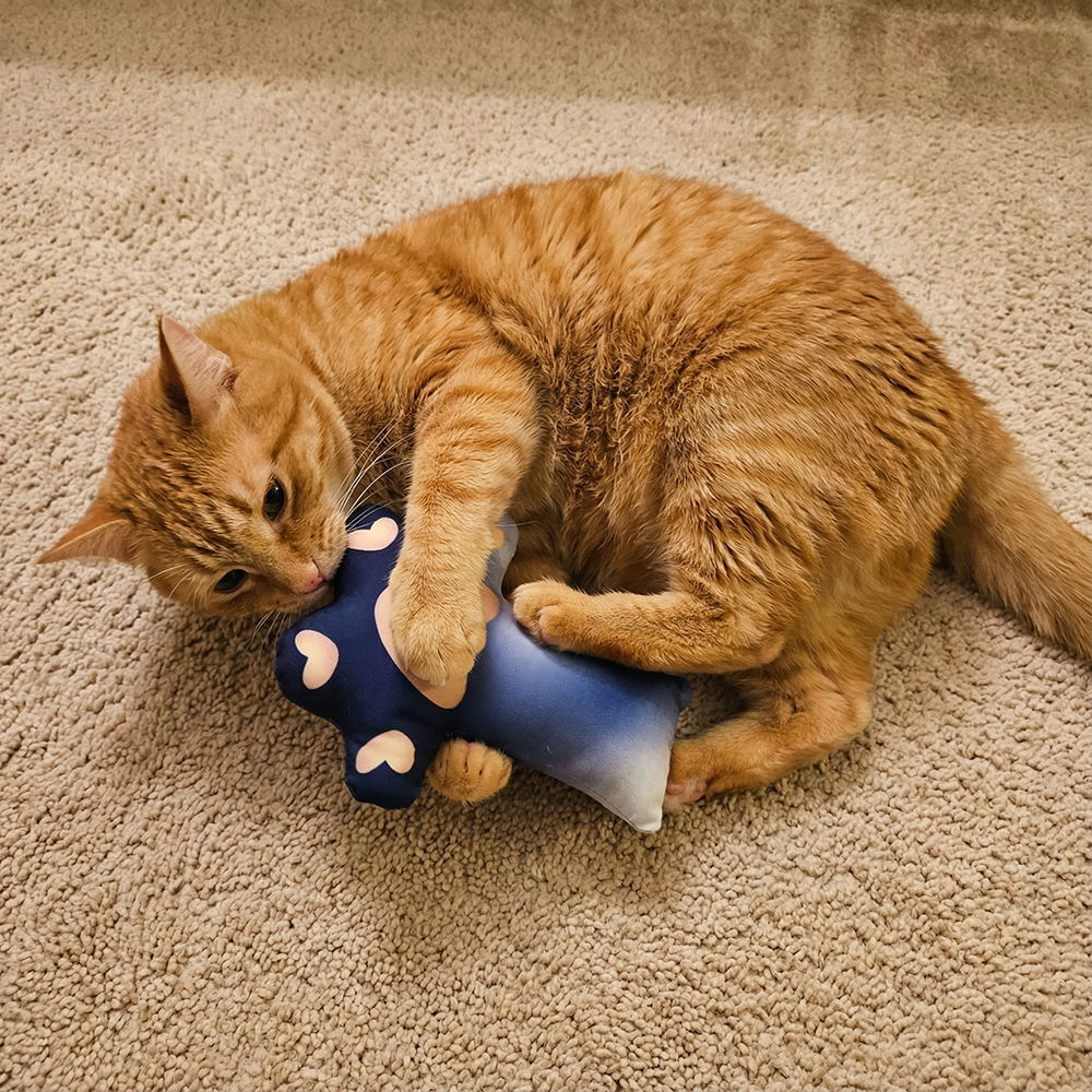 貓咪玩具 縮圖 1