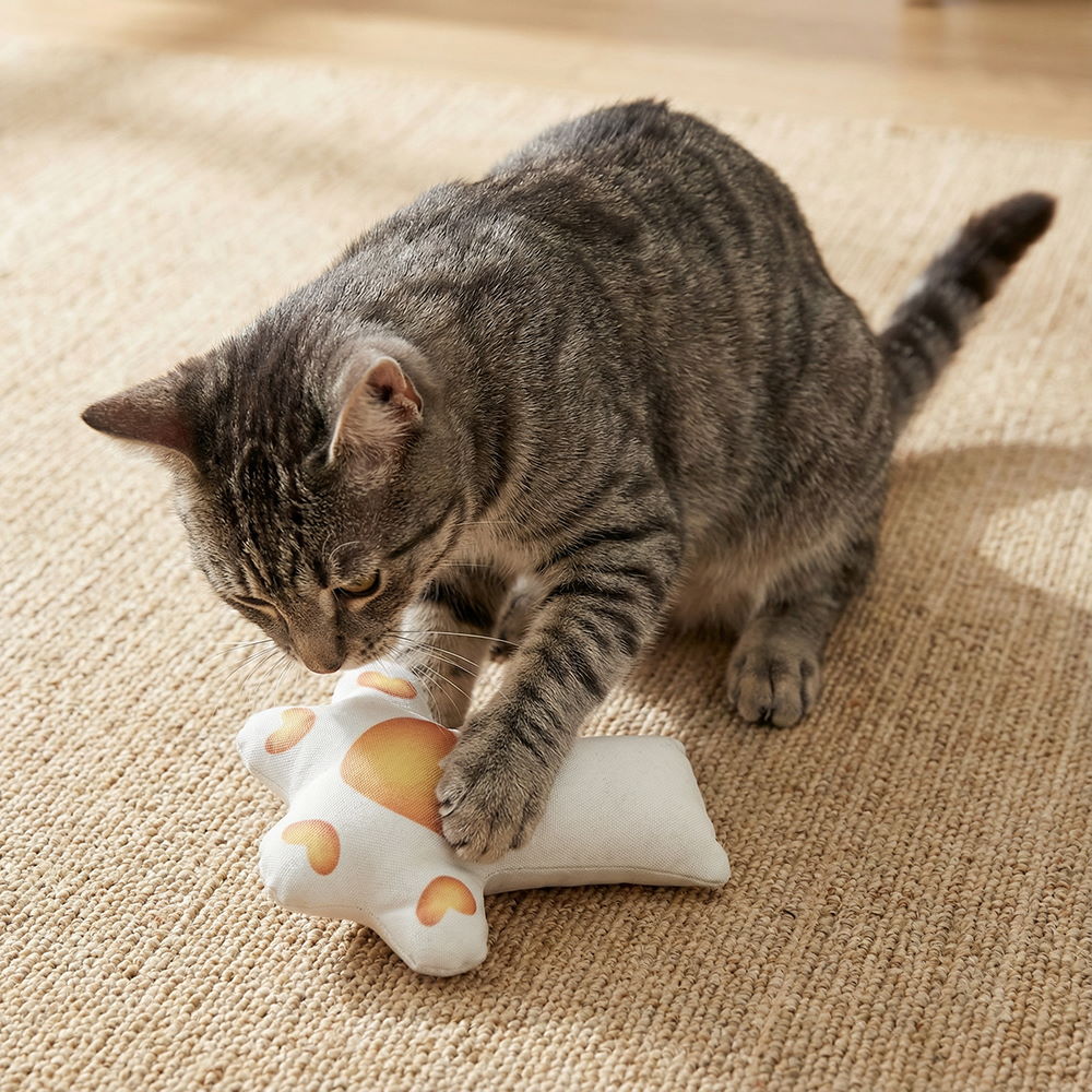 貓咪玩具 縮圖 1