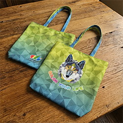 提袋(拉鍊)(直式)