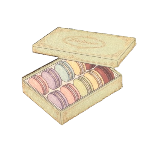 Macaron - Box - Paris Collection - Waiinuma