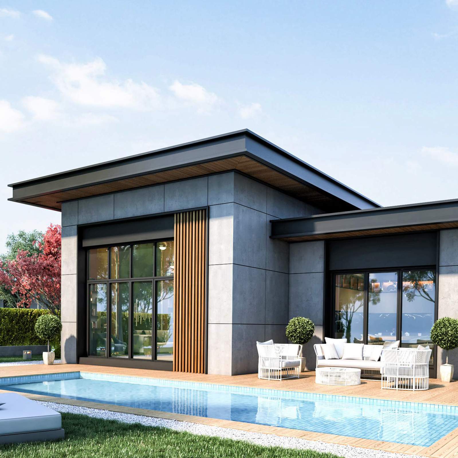 Project image 3