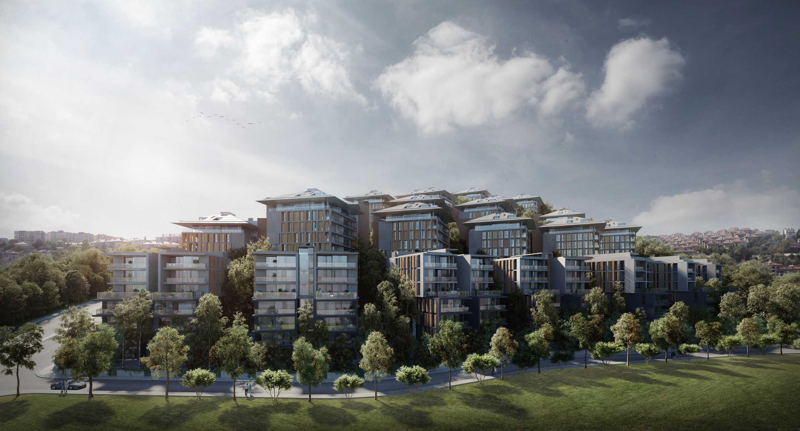 Project image 6