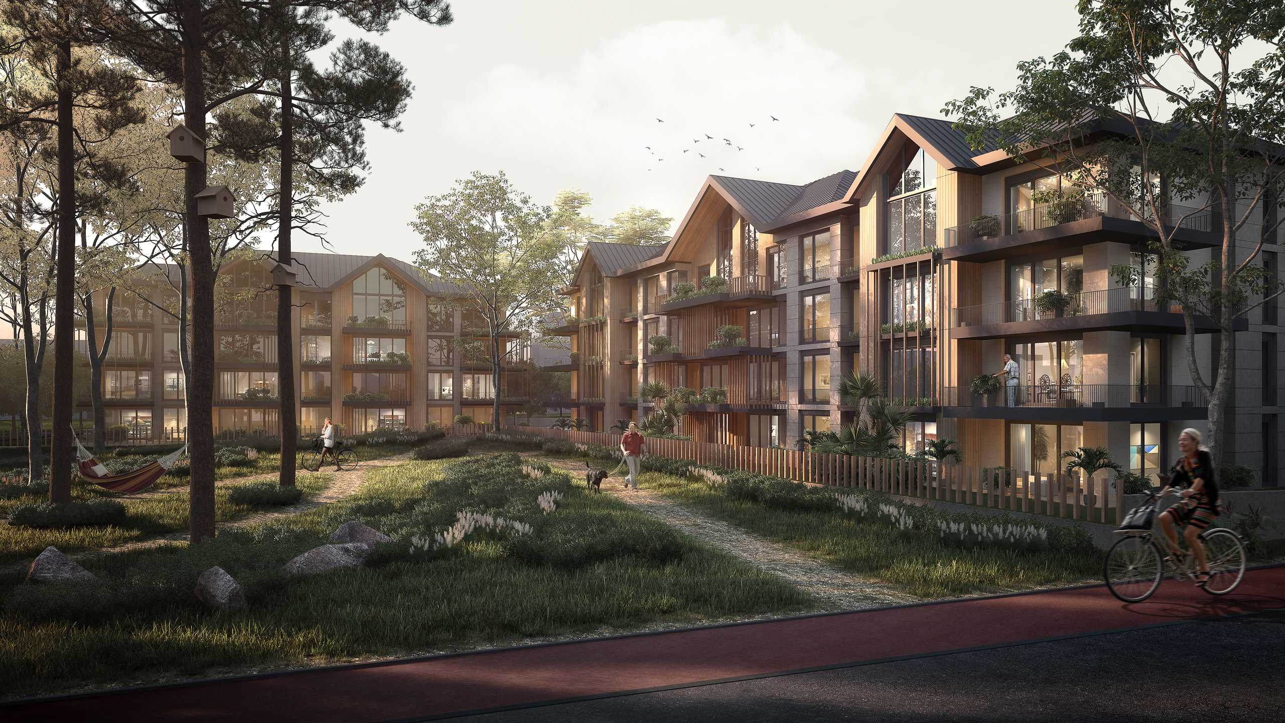 Project image 6