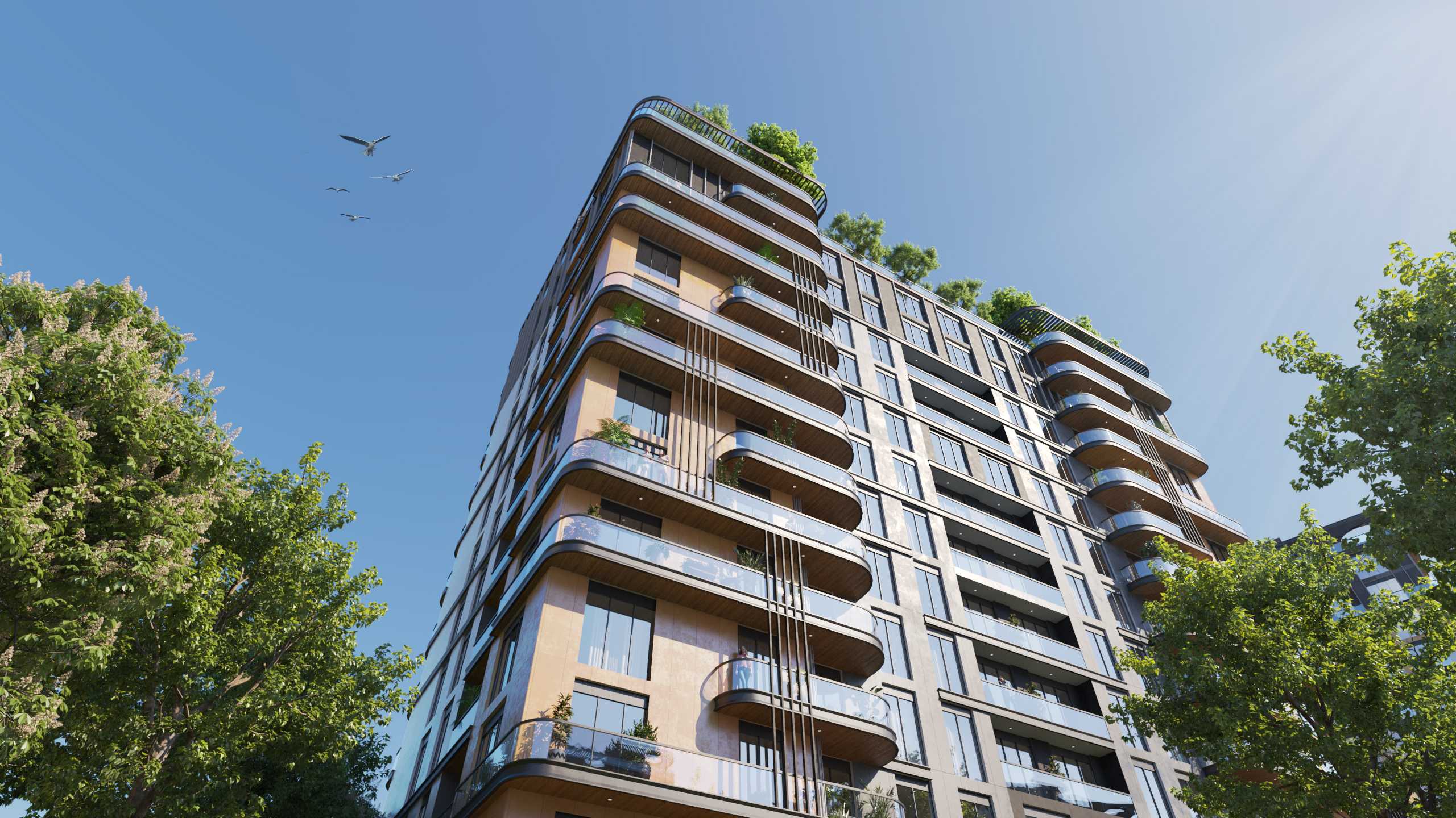 Project image 9