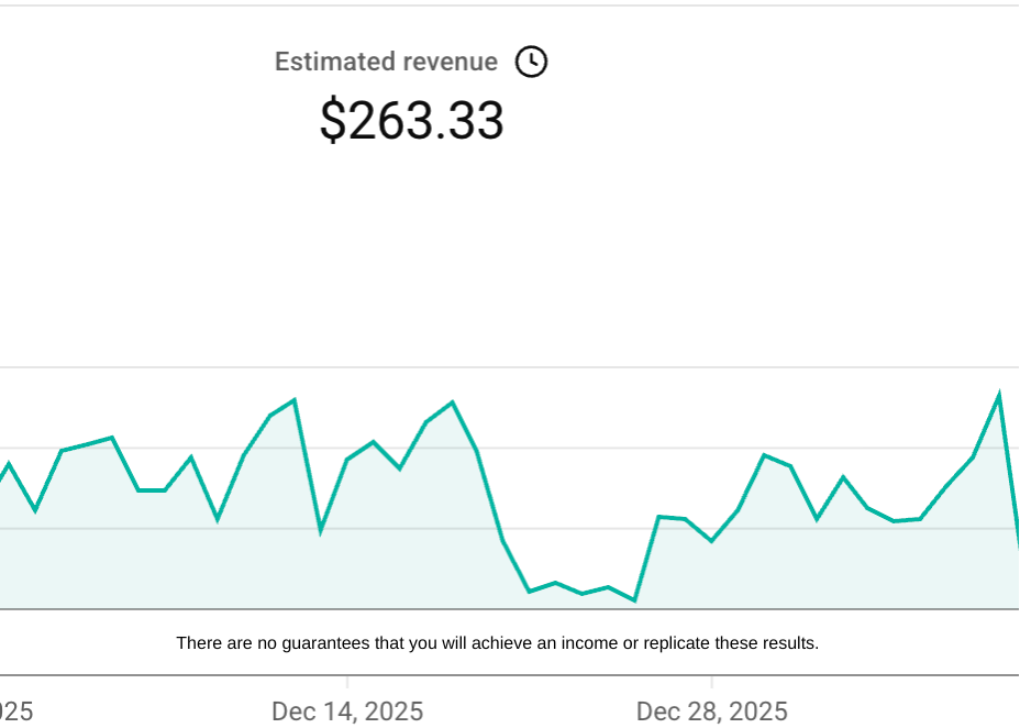 There are no guarantees that you will achieve an income or replicate these results