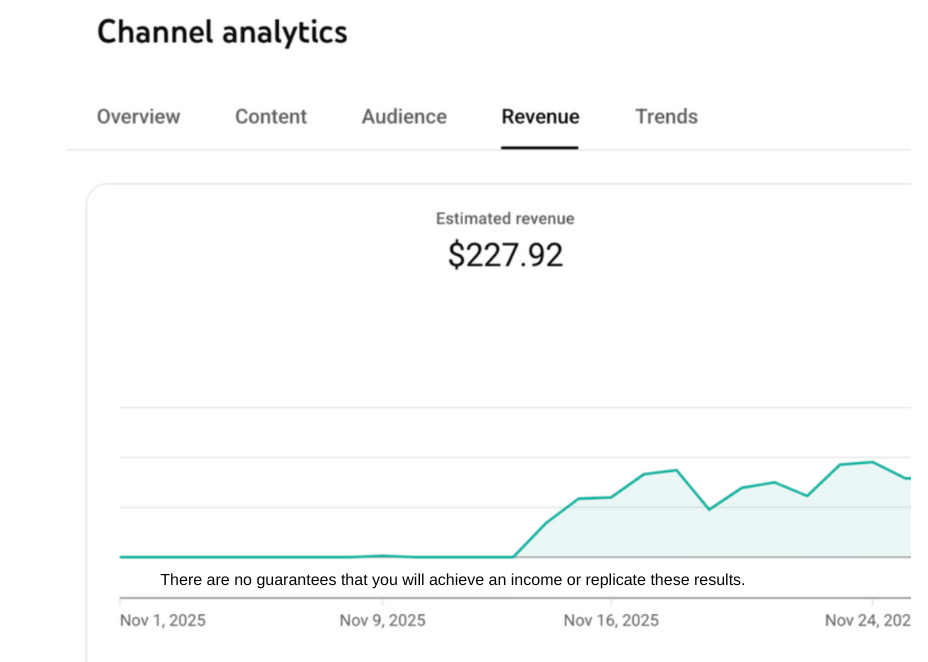 There are no guarantees that you will achieve an income or replicate these results