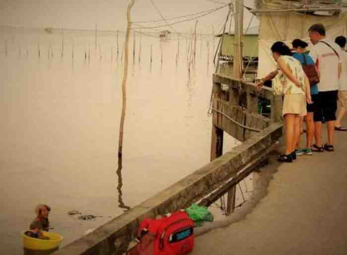 Walau Sudah 85 Tahun Ibu ini Setiap Hari Menyelam di Laut Demi Hidupi Anak