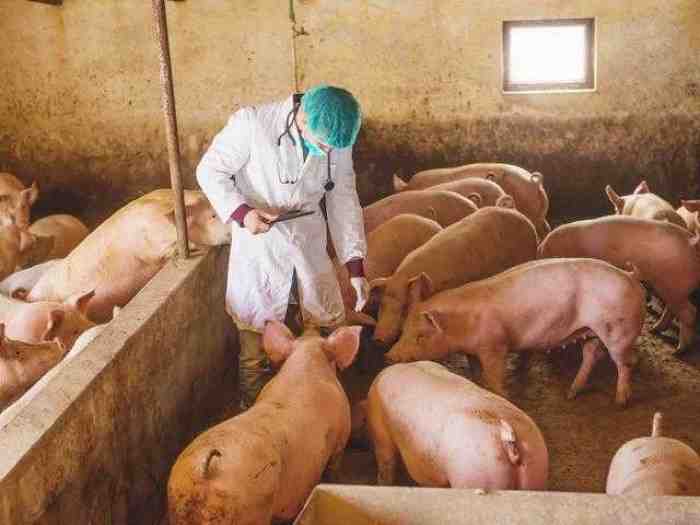 Tak Hanya Virus Corona, 5 Virus Ini Juga Pernah Gemparkan Dunia