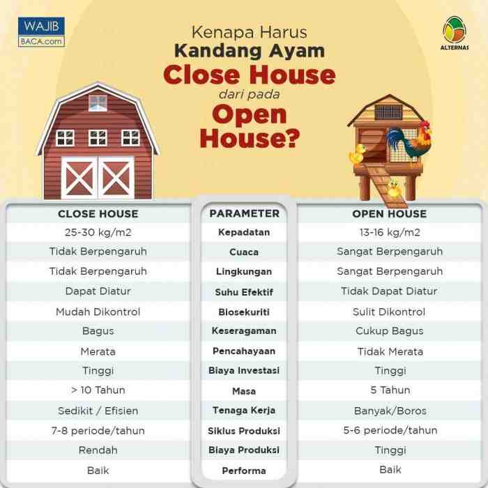Kandang Ayam Close House Modern Serba Otomatis Solusi Bagi Peternak