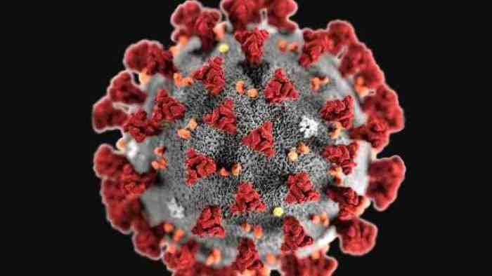 Hantavirus, Tak Dapat Menular Antar Manusia 