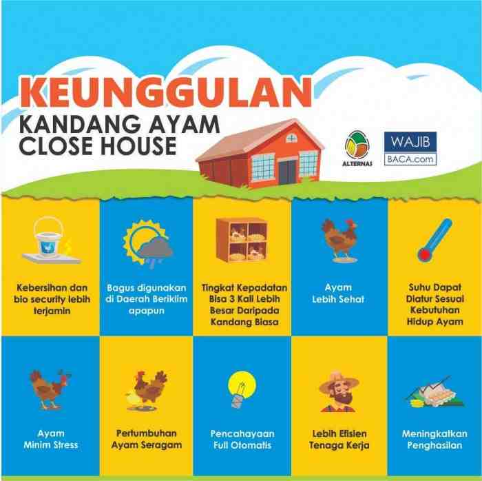 Kandang Ayam Close House Modern Serba Otomatis Solusi Bagi Peternak