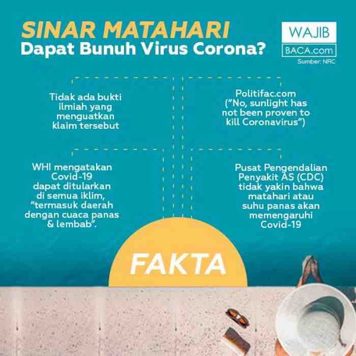 Cek Fakta, Benarkah Berjemur di Bawah Sinar Matahari Bisa Membunuh Virus Corona?
