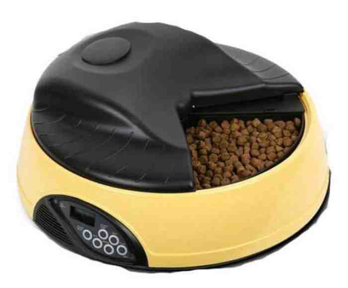 5 Food Dispenser Untuk Kucing Terbaik