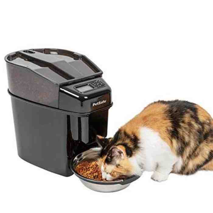 5 Food Dispenser Untuk Kucing Terbaik